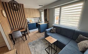 Blue & Wood Studio Fv